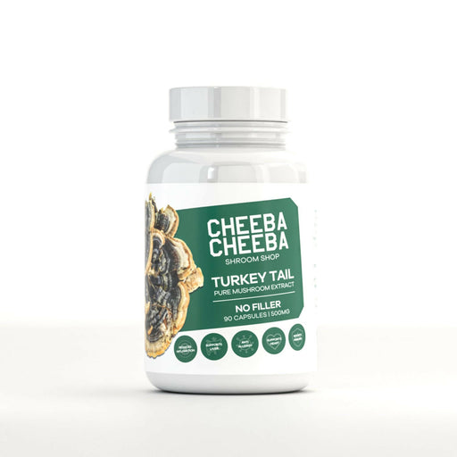 Turkey Tail - Pure Mushroom Extract 500mg.